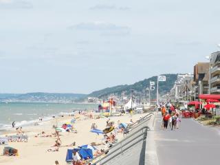 2 pièces Front de Mer ensoleillé et calme accès direct plage - Cabourg - 0