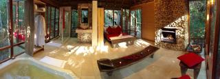 Trogon House and Forest Spa - The Crags - 3