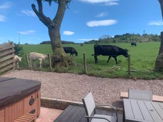 Woodburn Lodges - Dumfries - 9