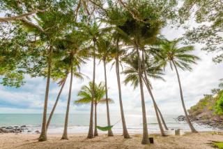 Turtle Cove Beach Resort - Adults Only LGBTQIA & Allies - Oak Beach - 7