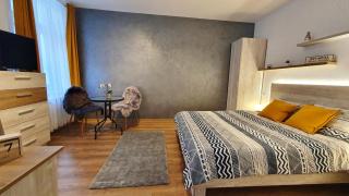 Jules Studio Downtown - Braşov - 9