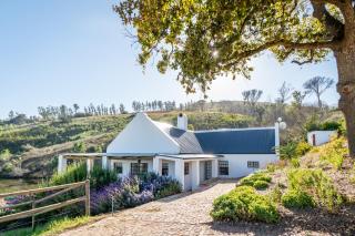 Druk My Niet Wine Estate - Paarl - 8