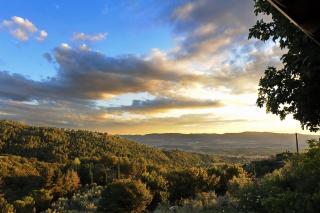 Agriturismo Borgo Mocale - 6