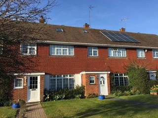 New Forest Brockenhurst - Brockenhurst - 0
