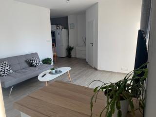 Tolarova Apartmán - Pardubice - 8