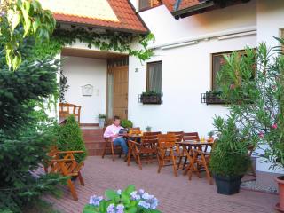 Hotel Waldhaus - Hügelsheim - 3