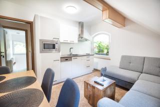 Apartments Grad Kamen - Begunje na Gorenjskem - 8
