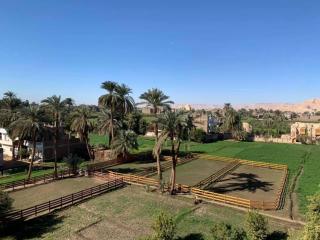 Cleopatra Hotel Luxor - Luxor - 7