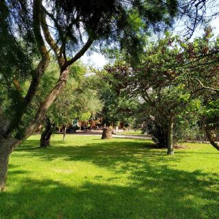 Petit Hotel Es Figueral - Campos - 6