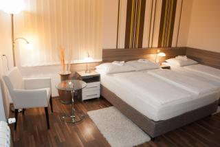 Vila DeLux - Negotin - 5
