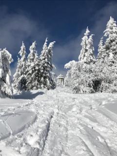Bergkristall - Feldberg - 6
