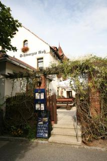 Schwarzes Ross - Arnsdorf - 3