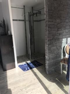 Lilly bulles en Champagne piscine et jardin privée - 2