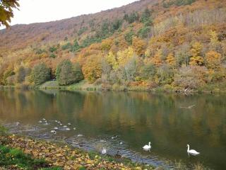 Les Ecureuils - Revin - 8