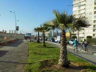 Hermoso departamento a pasos de avenida del mar - 2