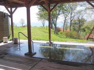 Hotel Izumi - Shiraoi - 2
