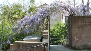 Al Pergolesi B&B - Jesi - 1
