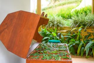 Silent Garden Ayurveda Health Resort - 8