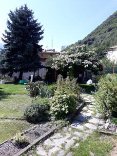 Tirano in relax - Tirano - 5