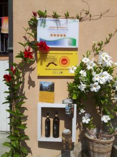 Loft al mare - San Lorenzo al Mare - 8