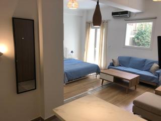 Michail Voda Studio 38m2 - Atene - 5