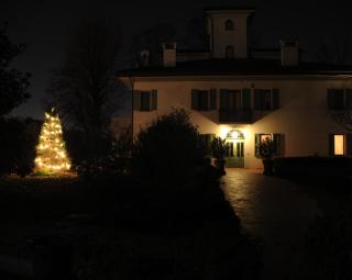 Al Melograno - Room & Breakfast - Bolonia - 3