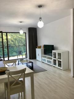 Nature View Apartment - Braşov - 8