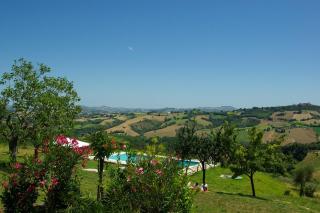 Angela Garden - Servigliano - 7