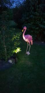 The Vine B & B - South Thoresby - 4
