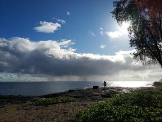 Ocean Breeze Inn - Keaau - 9
