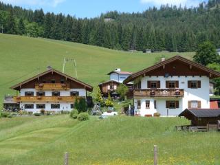 Fronwieshof - Ramsau - 5