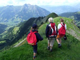 Apartmenthaus Kristall - Wagrain - 2