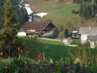 Apartmenthaus Kristall - Wagrain - 1