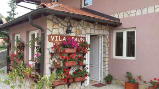 Vila Paun - Zlatibor - 1