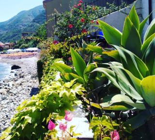 Casa delle Galee - Scilla - 2