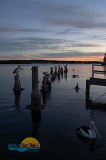 Anchor Bay Motel - Greenwell Point - 7