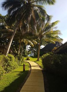Paradise Cove Resort - Port Vila - 3