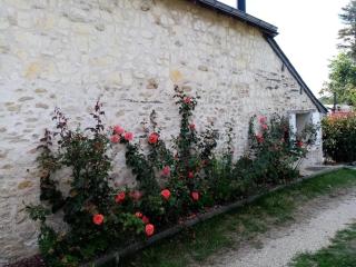 The peaceful countryside corner - Mazé - 6
