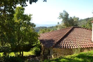 Quinta Abelha - Três Horas - 5
