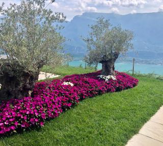 Villa delle Querce - Tremosine Sul Garda - 4