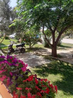 Apartmani Ruža - Novalja - 2