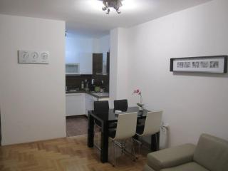 65 square meters Designer Apartment in heart of city - River view ! Park for free - Niš - 5