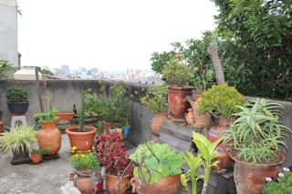 Habitaciones Eco-Terrazas - Guatemala - 3