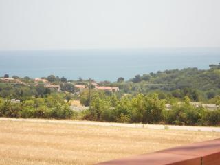 Il Vecchio Mandorlo - 9