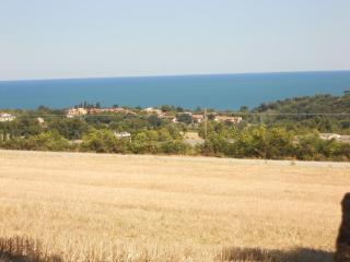 Il Vecchio Mandorlo - Sirolo - 6