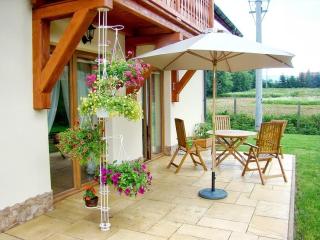 Apartamenty Pod Lipami - Szczawnica - 5