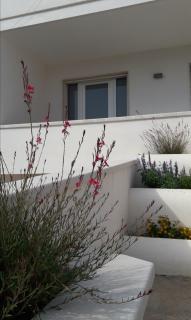 Via alessandria - 7