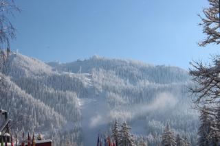 Pensiunea Colina - Poiana Brasov - 7