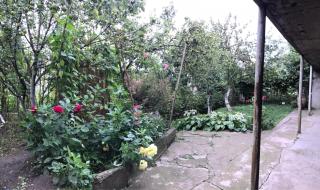 Samvel's Guest House - Dilijan - 4