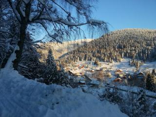 Le Valmandine - La Bresse - 4